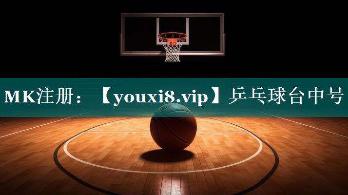 乒乓球台中号